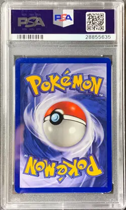 Pokemon Card Shadowless Magneton Holo Rare PSA 8 NM-Mint Base Set 9/102 1999 (1) - Image 2