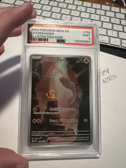 Pokemon 2023 Charmander 168/165 SV 151 Illustration Rare Holo EN PSA 9 - Image 3