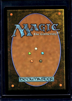 2020 MTG Magic The Gathering 2XM Double Masters Borderless 352 Noble Hierarch LP - Image 2