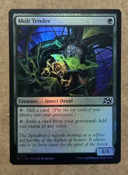 Foil* Molt Tender Aetherdrift - NM MTG - Image 1