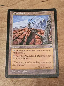 MTG Tempest Wasteland Magic the Gathering Rare #2 Land Destruction - Image 1