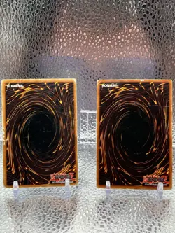 Yu-Gi-Oh! Dark Paladin DMG-001 MP + B. Skull Dragon BPT-006 HP Limited Edition - Image 4