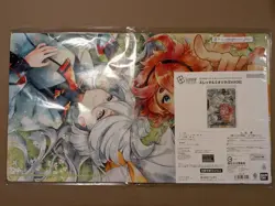 Gundam Card Game Suletta and Miorine Evx02 Card EX Resource Card & Playmat New - Image 1