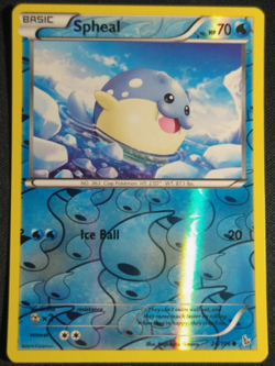 Pokemon - Spheal 24/106 - XY Flashfire - Reverse Holo - NM/M - Image 1
