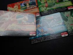Pokemon Scrap Card x3 Blaziken Swampert Sceptile Evolutions #19 EX/VG - Image 3