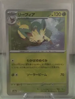 Pokemon TCG Terastal Festival Leafeon Master Ball 002/187 Japanese - Image 1