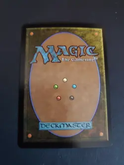 1x - FOREST - #291 - FULL ART FOIL - Avatar: The Last Airbender TLA NM MTG - Image 2