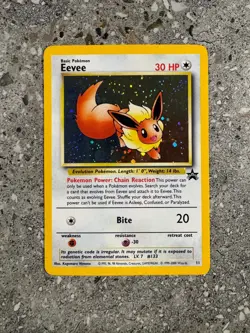 Pokemon TCG Cards Eevee 11 WOTC Black Star Promo Holo - Image 1