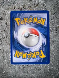 Pokemon TCG Cards Eevee 11 WOTC Black Star Promo Holo - Image 4