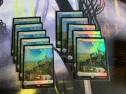 10x Plains (Foil) (Cats And Dogs Secret Lair #1513) MTG - Image 1