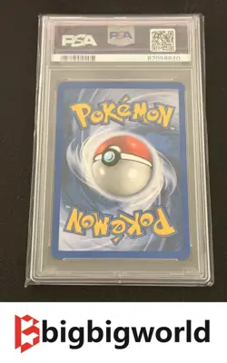 Pokemon TCG Sceptile Holo Ruby & Sapphire 11/109 PSA8 - Image 2