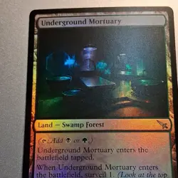 Underground Mortuary x 1 - MTG -Foil- Swamp Forest - MKM 0271 - - Image 2