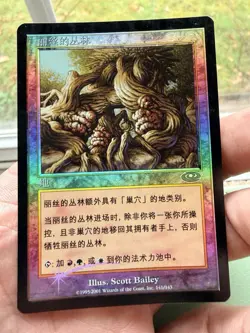 Rith’s Grove - MTG - 1x MP Foil Simplified Chinese Planeshift PLS - Image 1