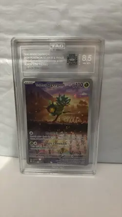 Pokemon Teal Mask Ogerpon Holo Promo 123 Sv: Scarlet & Violet TAG 8.5 110 HP - Image 1