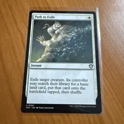 Path To Exile - N/M - Secrets Of Strixhaven Magic The Gathering MTG - Image 1