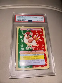 Pokemon Card Japanese Topsun Pidgeotto No.017 Green Back PSA 6 Vintage 1995 Rare - Image 3