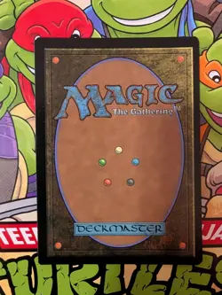 MTG Sword of Hearth and Home (Borderless) Foil - Teenage Mutant Ninja Turtles NM - Image 4