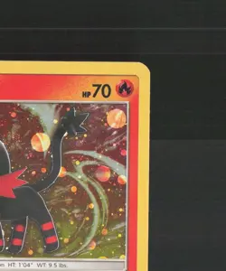 Litten SM23 Sun & Moon Black Star Promo Holo Pokemon Card LP - Image 4
