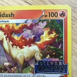 Rapidash - (Prerelease) SWSH270 SWSH: Sword & Shield Promo Cards Holo - Image 4