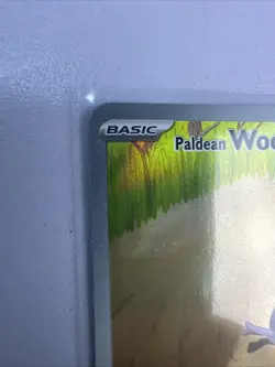 Paldean Wooper - 221/193 Illustration Rare Pokemon TCG SV02: Paldea Evolved LP - Image 2