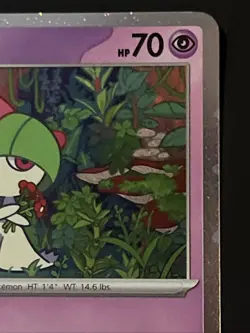 Pokemon TCG: 2025 Fall Collector Chest - Cosmo Foil Promos: Ralts, Kirlia, Riolu - Image 5