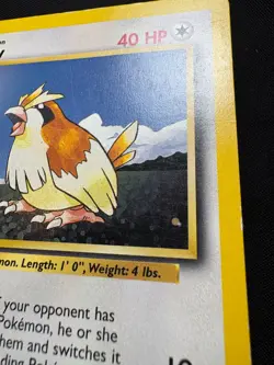 Pidgey 57/102 MP - Pokemon TCG Original Series Base Set BS Shadow Common Regular - Image 3