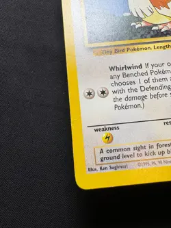 Pidgey 57/102 MP - Pokemon TCG Original Series Base Set BS Shadow Common Regular - Image 4