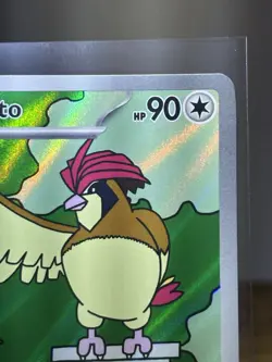 Pokemon TCG: Pidgeotto #208/197 SV Obsidian Flames Illustration Rare Holo - Image 3