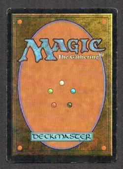 MtG Savannah Lions Leoni della Savana (Foreign Black Bordered) ITA - Image 2
