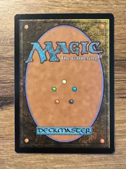 Magic MTG Final Fantasy Tidus, Yuna's Guardian #187 *NON-FOIL* Extended Art - Image 2