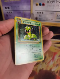 Pokemon Karte Card Victreebel Sarzenia Jungle Dschungel Holo Wotc japanese NM - Image 4