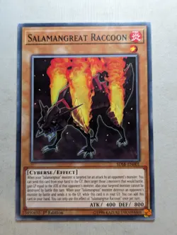 Salamangreat Raccoon - SDSB-EN001 - Common - 1st Edition - Image 1