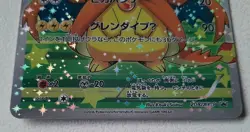 POKEMON card PIKACHU - PONCHO CHARIZARD japanese 208/XY-P promo RARE holo 2016 - Image 4