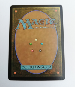 MTG | Minas Tirith (V.1) | Extended Art | German | NM - Image 2