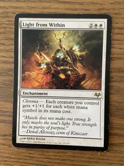 Light From Within X1 Mtg Eventide MP - Image 1