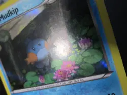 MUDKIP HOLO POKEMON CARD 33/160 PRIMAL CLASH LIGHTLY PLAYED EX+ - Image 3