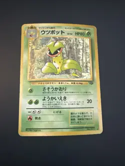 Pokemon - Jungle Victreebel No 071 - Holo - Pocket Monster - Japanese - Image 1