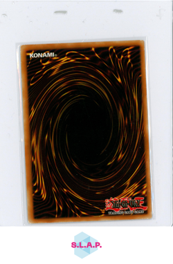 RED-EYES B. DRAGON YU-GI-OH! YAP1-EN002 2009 ANNIVERSARY PACK LIMITED ED ENGLISH - Image 2