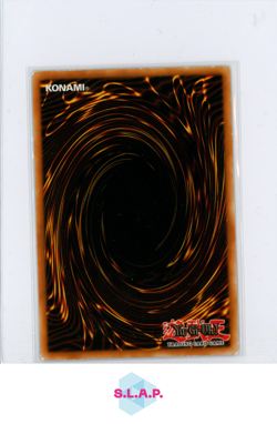 CYBERDOSE YU-GI-OH! DPKB-DE010 2002 1ST EDITION SPELL RULER GERMAN - Image 2