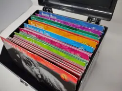 Weird N Wild Creatures Card Lot, Trading And Large Cards And Case Free Ship - Image 4