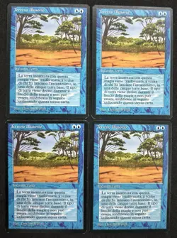 MAGIC~TERRENO ILLUSORIO~4X~FBB~FOREIGN BLACK BORDERED~1 EDIZIONE~ITA~LP - Image 1
