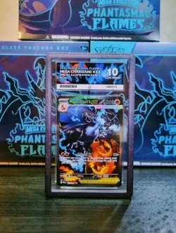 Mega Charizard X EX #125 SIR Perfect Subs Gem Mint 10 Ace Graded Pokemon Card - Image 2