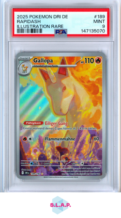 RAPIDASH ILLUSTRATION RARE POKEMON GERMAN DRI DE-DESTINED RIVALS 2025 189 PSA 9 - Image 1