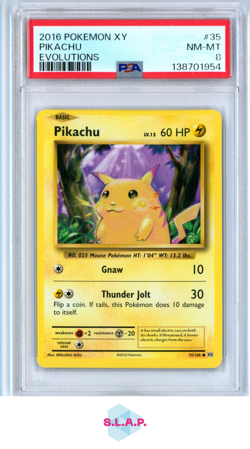 PIKACHU EVOLUTIONS POKEMON XY EVOLUTIONS 2016 35 PSA 8 - Image 1