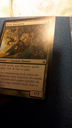 Bosk Banneret - mtg - NM - Image 2