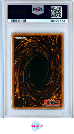 BLUE-EYES WHITE DRGN.LEG.BLUE EYES WHT.DRAGON YU-GI-OH! LOB- 2002 001 PSA 7 - Image 2