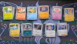 Ascended Heroes Bulk ! 219 Cards In Total! Pokemon cards - Image 1