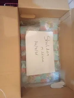 Pokemon Bulk Lot 3800+ Cards – Holos & Reverse Holos – Journey Together - Image 2