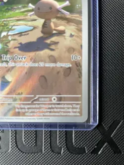 Pokemon Paldean Wooper 102/094 Phantasmal Flames Illustration Rare Holo 60 HP T… - Image 5