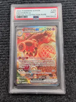 2024 Pokemon SCR en Dachsbun EX Special Illustration PSA 9 Rare - Image 1